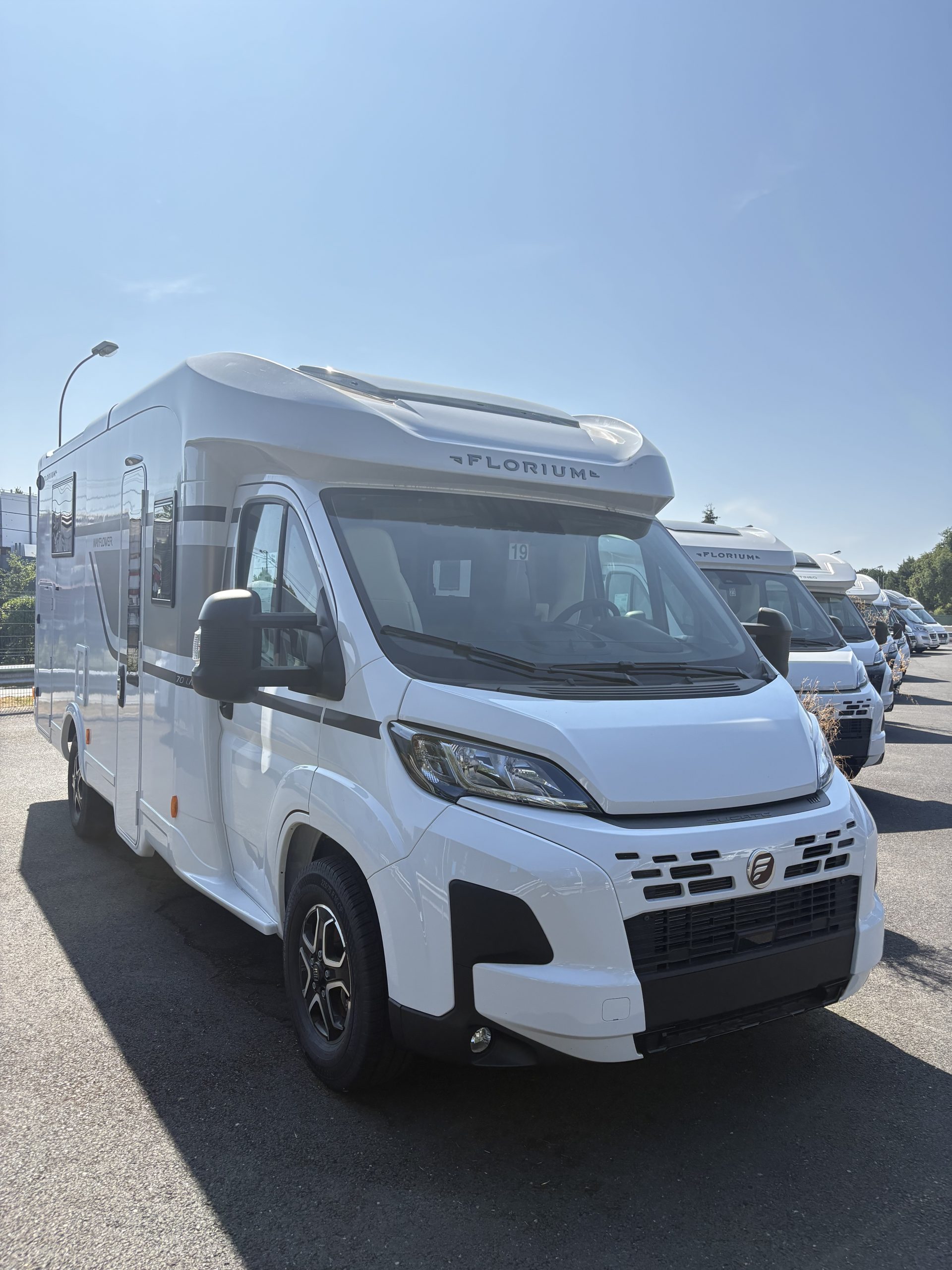 FLORIUM MAYFLOWER 70LMF